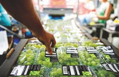 दोन वर्षानंतर या शेतकऱ्यांना येणार अच्छे दिन, यंदाच्या वर्षी परदेशात होणार विक्रमी निर्यात