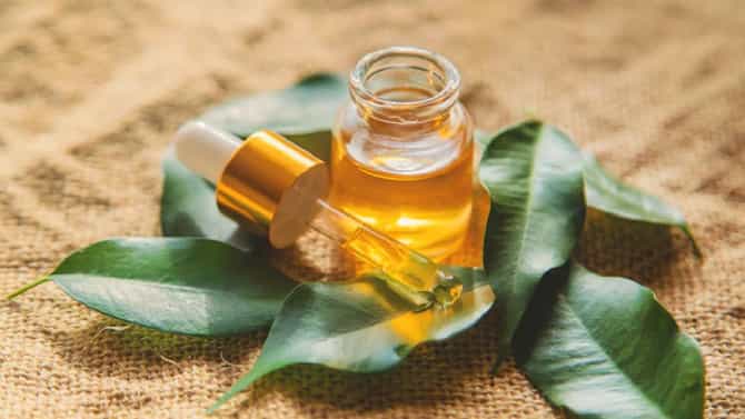 Essential Oils for Period Cramps: मूड स्विंग आणि पीरिएड क्रॅम्प्सचा त्रास होईल दूर, फायदेशीर ठरते हे ऑईल
