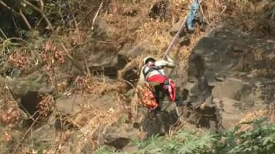 जंगलात फुले तोडताना तोल गेला, 50 फूट खोल दरीत पडला, नंतर सुरू झाला असा थरार