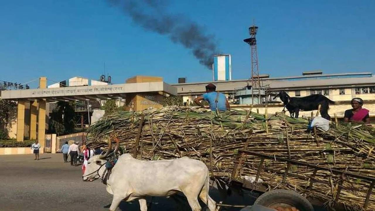 ऊस उत्पादकांसाठी आनंदाची बातमी; पुढच्या वर्षीपासून काटामारी बंद; सरकारचा नेमका निर्णय काय..?