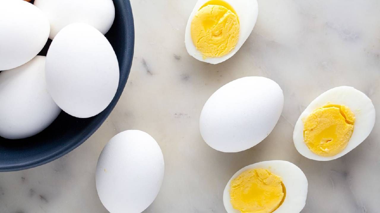 Maharashtra Eggs : मंडे सोडा, संडेलाही मिळेना अंडे! राज्यात रोज 1 कोटी अंड्यांचे शॉर्टेज, भावात वाढ