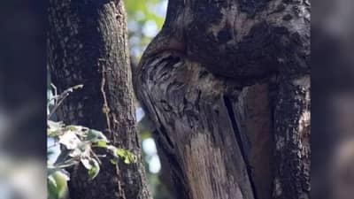 तुम्ही सुपर जीनियस! जर दिलेल्या वेळेत कोडं सोडवून दाखलंत तर