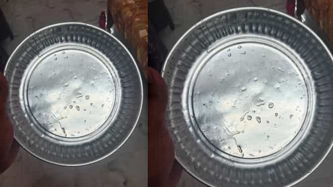 आई 20 वर्षांपासून एकाच ताटात जेवत होती, निधनानंतर मुलाने सांगितलं कारण!