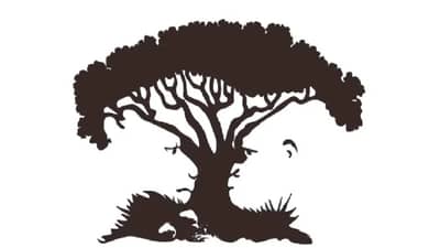 तुमचं व्यक्तिमत्त्व कसं आहे बघायचं का? सांगा या चित्रात आधी काय दिसतंय