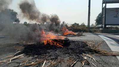 जीव गेला तरी चालेल, उपोषण थांबणार नाही, आक्रमक इशारा, हिंगोलीत स्वाभिमानीचं आंदोलन पेटलं...