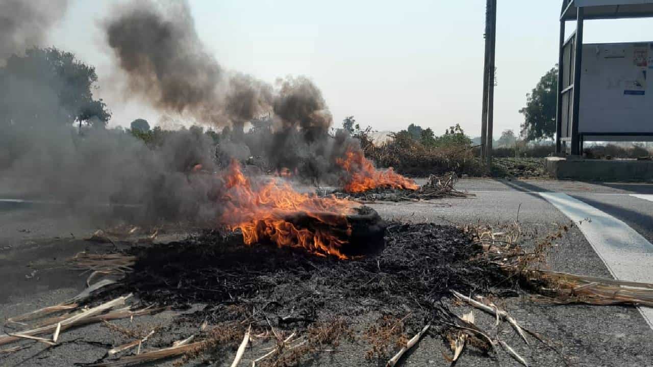 जीव गेला तरी चालेल, उपोषण थांबणार नाही, आक्रमक इशारा, हिंगोलीत स्वाभिमानीचं आंदोलन पेटलं...