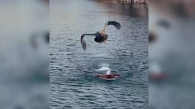 आनंद महिंद्रा यांनी दिली महत्त्वाची शिकवण,प्रत्येक दिवस कसा असावा व्हिडीओ शेअर करत सांगितलं