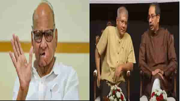 मी या भानगडीत पडत नाही, ठाकरे-आंबेडकर युतीवर शरद पवार यांचं सर्वात मोठं विधान