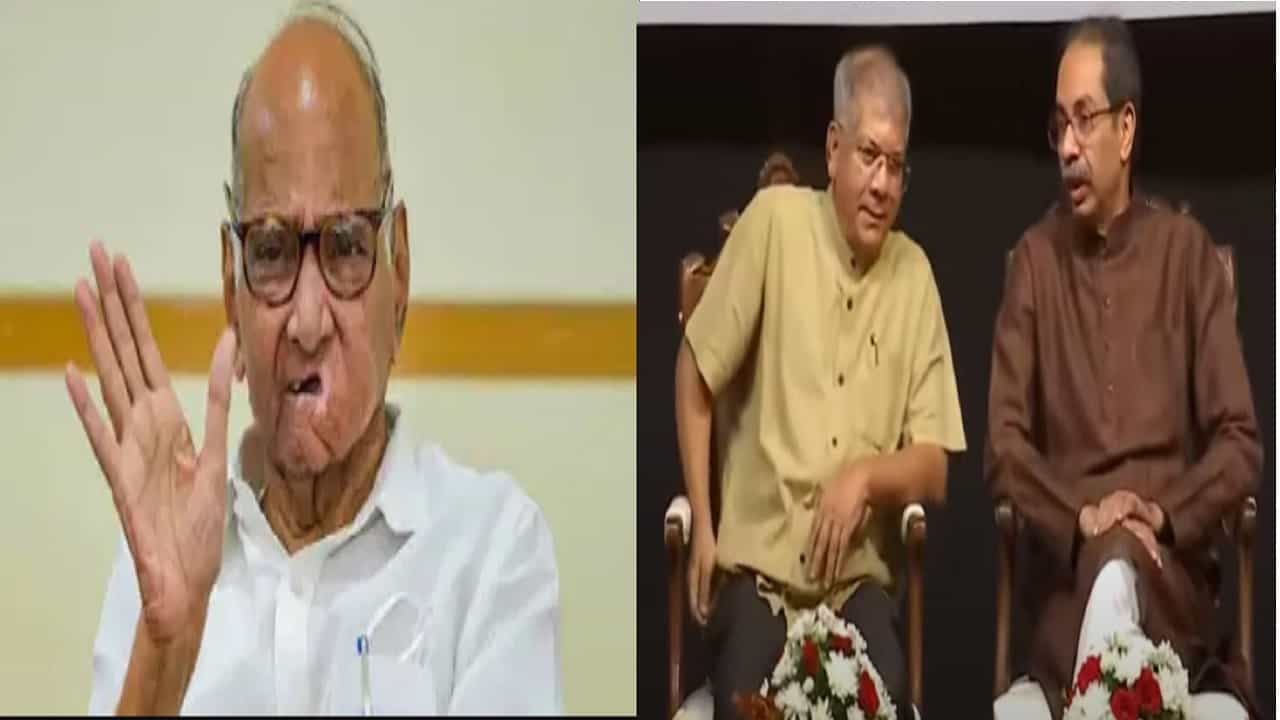 मी या भानगडीत पडत नाही, ठाकरे-आंबेडकर युतीवर शरद पवार यांचं सर्वात मोठं विधान