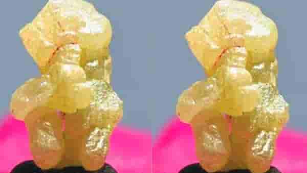 जगातील सर्वात महागड्या गणपतीची मूर्ती तुम्ही पाहिलीत का? 500 कोटींपेक्षाही जास्त किंमत
