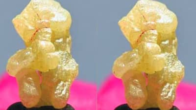 जगातील सर्वात महागड्या गणपतीची मूर्ती तुम्ही पाहिलीत का? 500 कोटींपेक्षाही जास्त किंमत