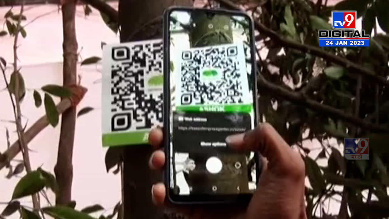 झाडं म्हणतंय, QR कोड स्कॅन करा आणि जाणून घ्या माझ्याबद्दल सर्व काही, कुठे घडतंय हे असं?