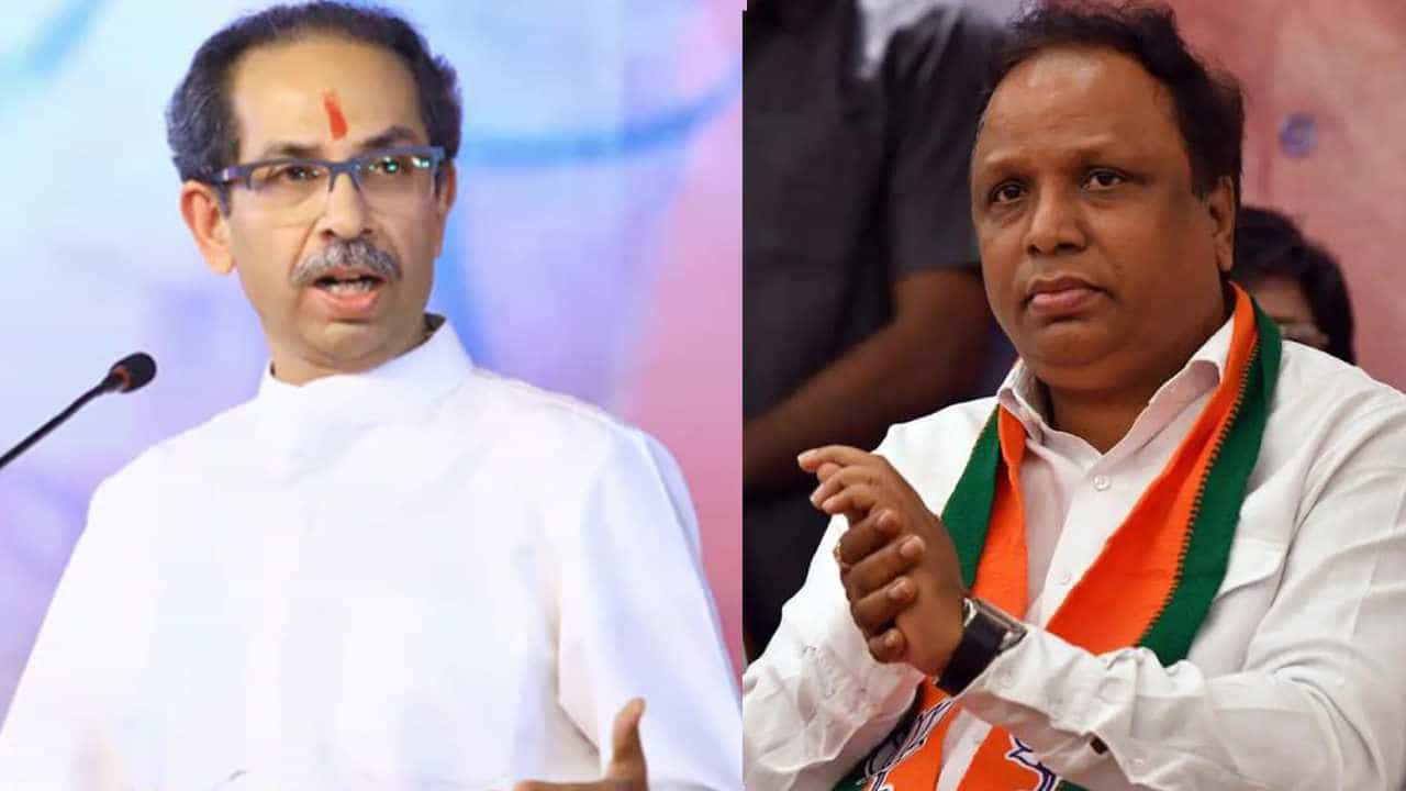 किंचित आणि वंचितचं लिव्ह इन रिलेशनशिप! भाजपच्या भीतीपोटी पळापळ, आशिष शेलार यांचं टीकास्त्र