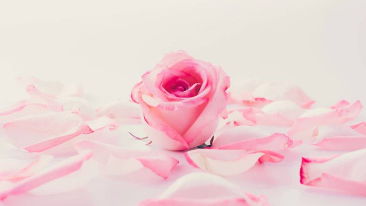 गुलाब पाणी - गुलाबपाणी टोनर म्हणून सर्रास वापरले जाते. एक कापसाचा गोळा गुलाब पाण्यात भिजवून  डार्क सर्कल्स असलेल्या भागावर लावा. 20 मिनिटे तसेच राहू द्या. नंतर ते काढून टाका.