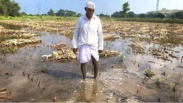 राज्यात वादळीवाऱ्यासह मुसळधार पाऊस, शेतकऱ्यांचे लाखो रुपयांचे नुकसान