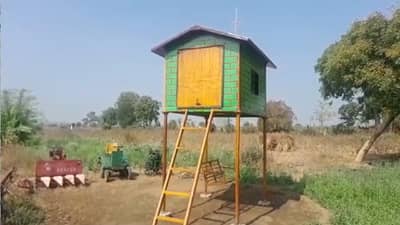 शेतात मोबाईल चार्जिंग, फॅनसह विविध वस्तू चार्जिंग करण्यासाठी शेतकरी पुत्राचा जुगाड