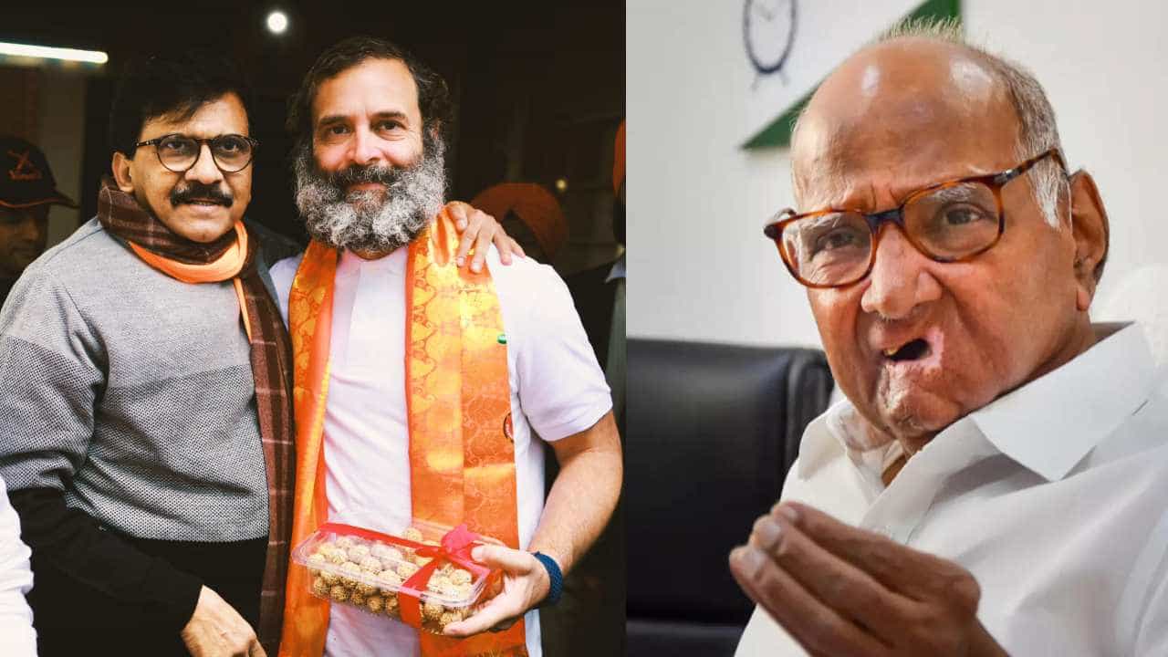 राहुल गांधी यांच्या राजकीय प्रतिमेबद्दल शरद पवार यांचं मोठं विधान, म्हणाले...