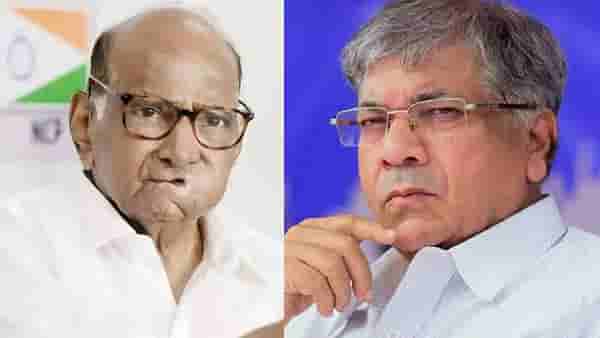 शरद पवार यांचं ते विधान ज्यामुळे प्रकाश आंबेडकर यांचं टेन्शन वाढवणार?; पवार असं काय म्हणाले?