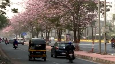 मुंबईतील रस्त्यावर ‘बसंत राणी’ ची बहार!, पाहा व्हीडिओ…