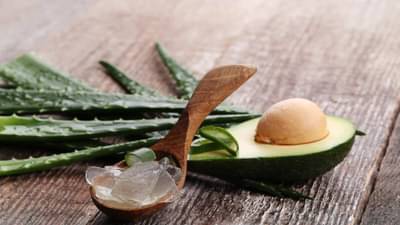 Hair Care Tips : केस झालेत जास्त पातळ ? कोरफडीच्या जेलचा हा वापर माहीत आहे का ?