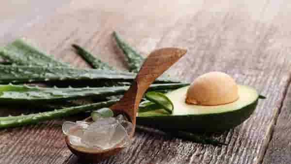 Hair Care Tips : केस झालेत जास्त पातळ ? कोरफडीच्या जेलचा हा वापर माहीत आहे का ?