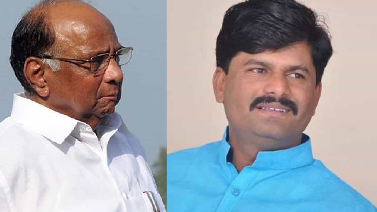 गोपीचंद पडळकर यांनी 'या' शब्दात काढली राष्ट्रवादी काँगेसची लायकी