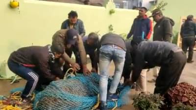 हरणाला पकडता पकडता नाकीनऊ! वनविभाग पकडायला, हजारो लोक बघायला