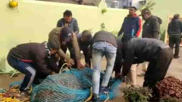 हरणाला पकडता पकडता नाकीनऊ! वनविभाग पकडायला, हजारो लोक बघायला