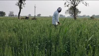 Agriculture News :खरीप हंगामात अतिवृष्टी व सततच्या पावसामुळे शेतकऱ्यांच मोठं नुकसान, मात्र सहा महिने उलटूनही...