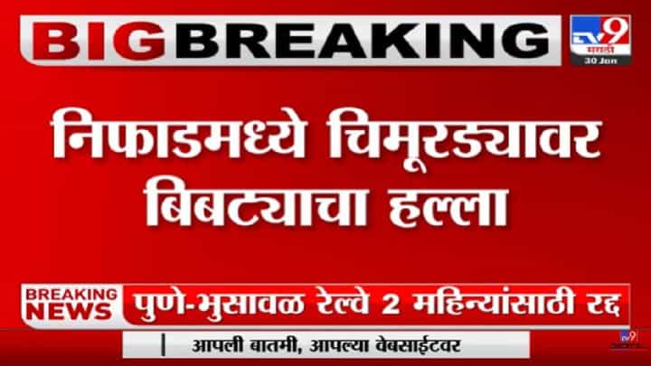 बिबट्याच्या हल्ल्यात सात वर्षाच्या मुलाचा मृत्यू, नाशिकच्या निफाडमधील घटना बिबट्याच्या हल्ल्यात सात वर्षाच्या मुलाचा मृत्यू, नाशिकच्या निफाडमधील घटना