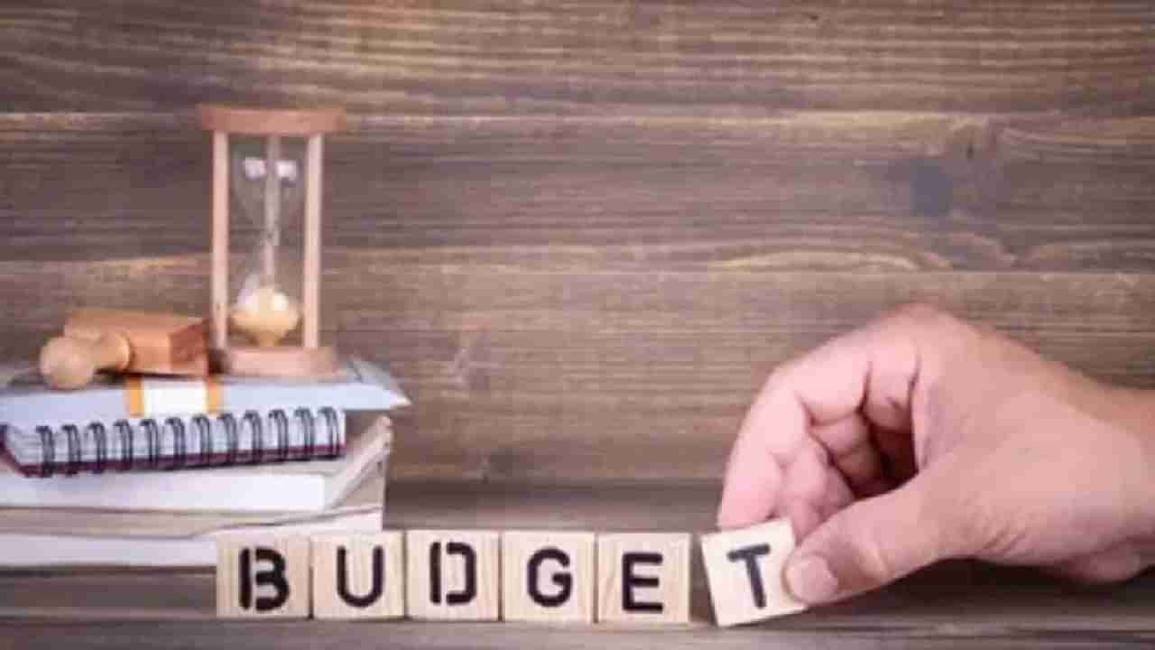 Union Budget 2023 : चिक्कार मेहनत, मोक्कार कमी पगार, या तरुणांच्या बजेटकडे नेमक्या आशा काय?