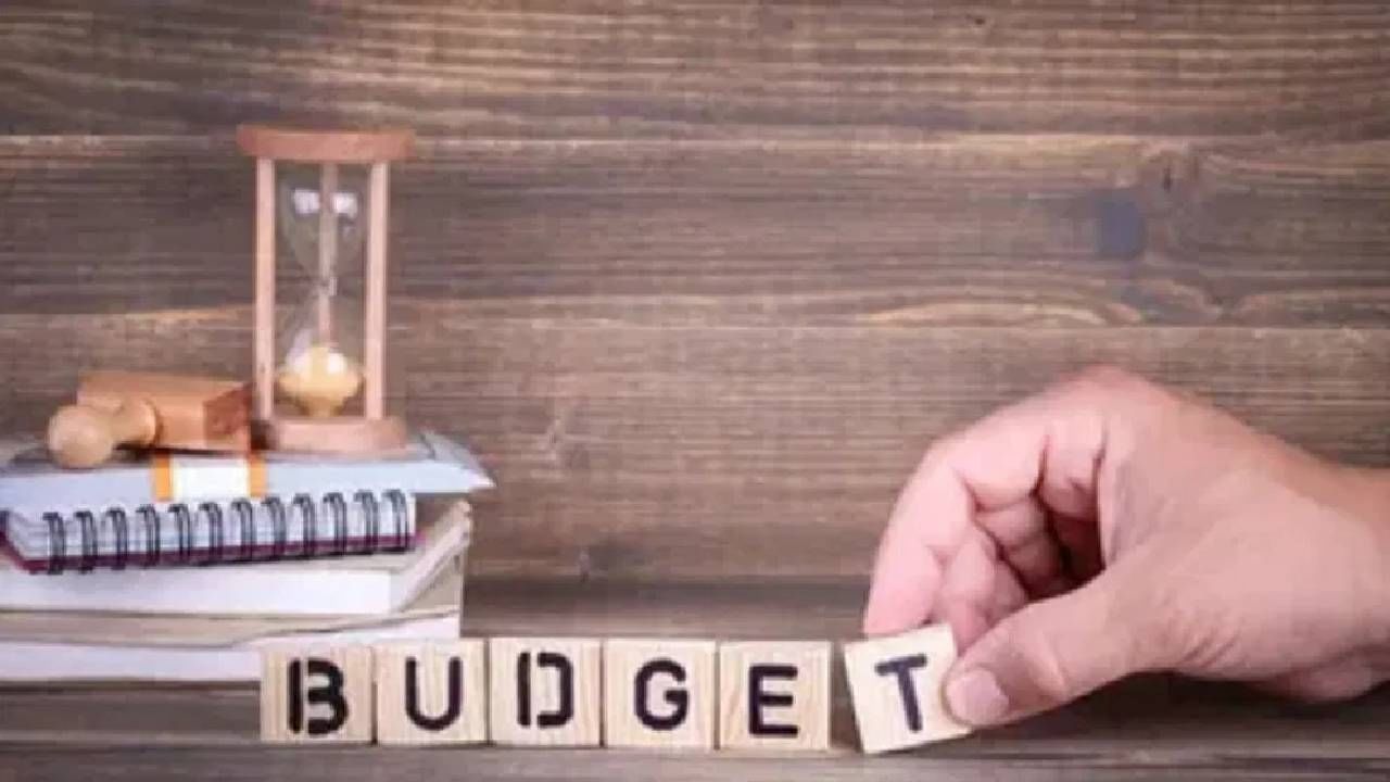 Union Budget 2023 : चिक्कार मेहनत, मोक्कार कमी पगार, 'या' तरुणांच्या बजेटकडे नेमक्या आशा काय?