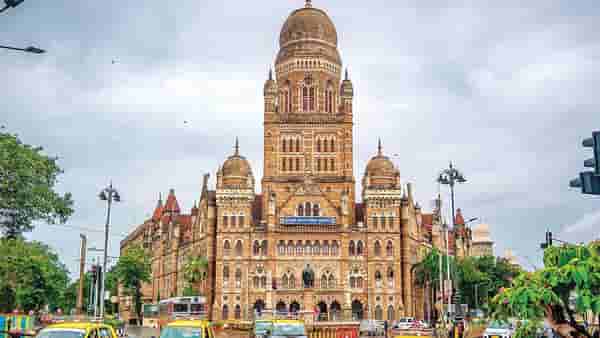 मुंबईत कोणत्या प्राण्याची दहशत वाढली? दोन वर्षात सव्वा लाख मुंबईकरांना चावा कुणी घेतला?