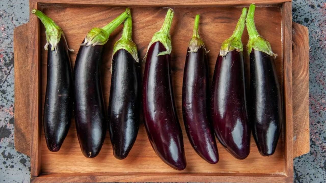 वांग्याचे केवळ फायदे माहीत आहेत? आता तोटेही जाणून घ्या... 'हा' त्रास असेल तर वांग्याकडे बघूही नका ! वांग्याचे केवळ फायदे माहीत आहेत? आता तोटेही जाणून घ्या... 'हा' त्रास असेल तर वांग्याकडे बघूही नका !