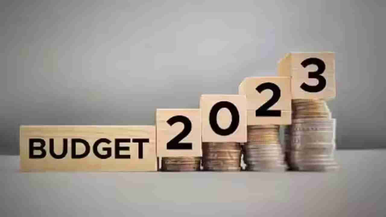 Budget 2023 : कुंभनगरीला अर्थसंकल्प भरभरून देणार? आगामी काळातील कुंभमेळ्यासाठी अर्थसंकल्प साधू-महंतांना खुश करणार?