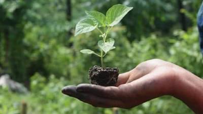 Agriculture Budget | नैसर्गिक शेती करणाऱ्या 1 कोटी शेतकऱ्यांसाठी महत्त्वाची बातमी