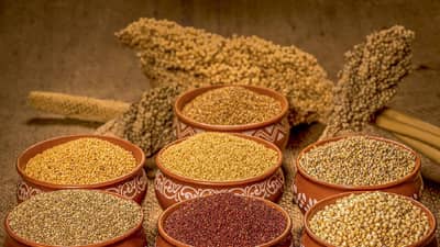 काय आहे श्री अन्न योजना? नाव कसं पडलं? अर्थसंकल्पानंतर चर्चेत!