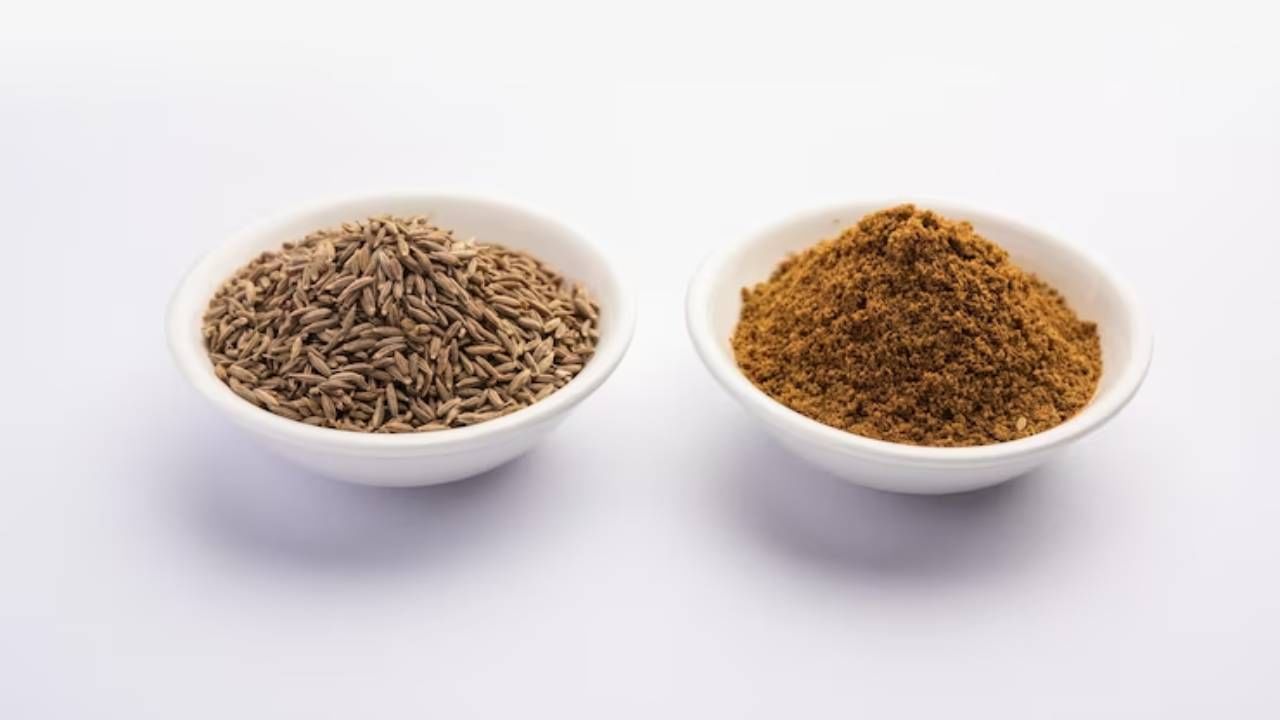 गुणांची खाण आहे स्वयंपाकघरातील हा पदार्थ, मधुमेहासह अनेक समस्यांवर ठरतो गुणकारी; तुम्हीही करता का त्याचे सेवन? गुणांची खाण आहे स्वयंपाकघरातील हा पदार्थ, मधुमेहासह अनेक समस्यांवर ठरतो गुणकारी; तुम्हीही करता का त्याचे सेवन?