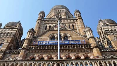 BIG BREAKING : महापालिका निवडणुकांची रणधुमाळी या महिन्यांमध्ये, महाराष्ट्राचा नेमका मूड काय? आता लवकरच समजणार