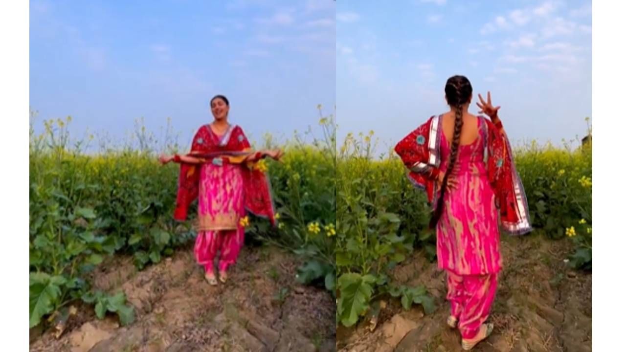 Sapna Choudhary ची पुन्हा एकदा जादू! रंगीबेरंगी सूट, शेतात डान्स