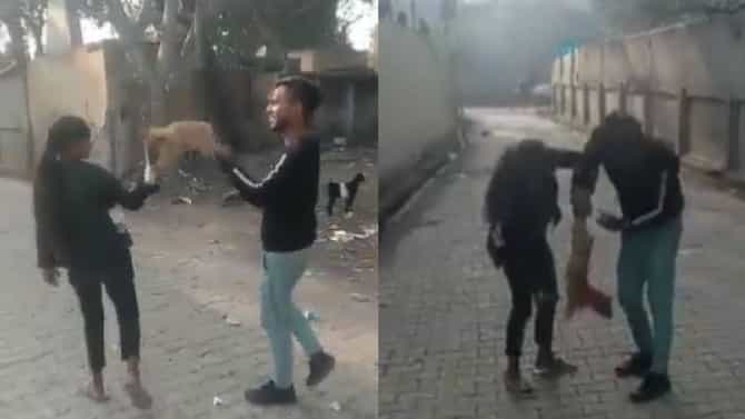 व्हिडीओ इतका खतरनाक, IAS अधिकाऱ्याने विचारलं, जनावर कोण?