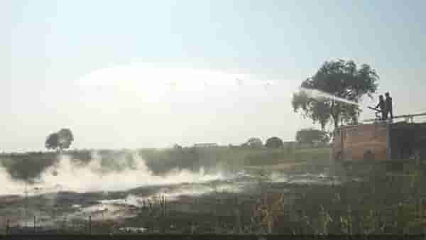 Agriculture News : तुरीच्या गंजीला आग लावल्यामुळे शेतकऱ्याचे लाखो रुपयाचे नुकसान, दिवसाढवळ्या प्रकरण घडल्यामुळे...