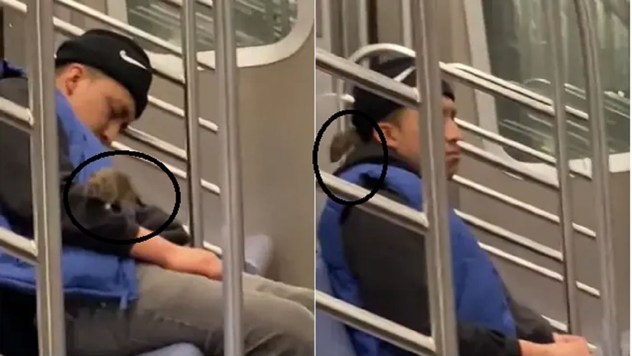VIDEO : मेट्रोत डुलकी लागलेल्या प्रवाशाची उंदीराने घेतली मजा, जागं आल्यानंतर काय झालं पाहा व्हिडीओत