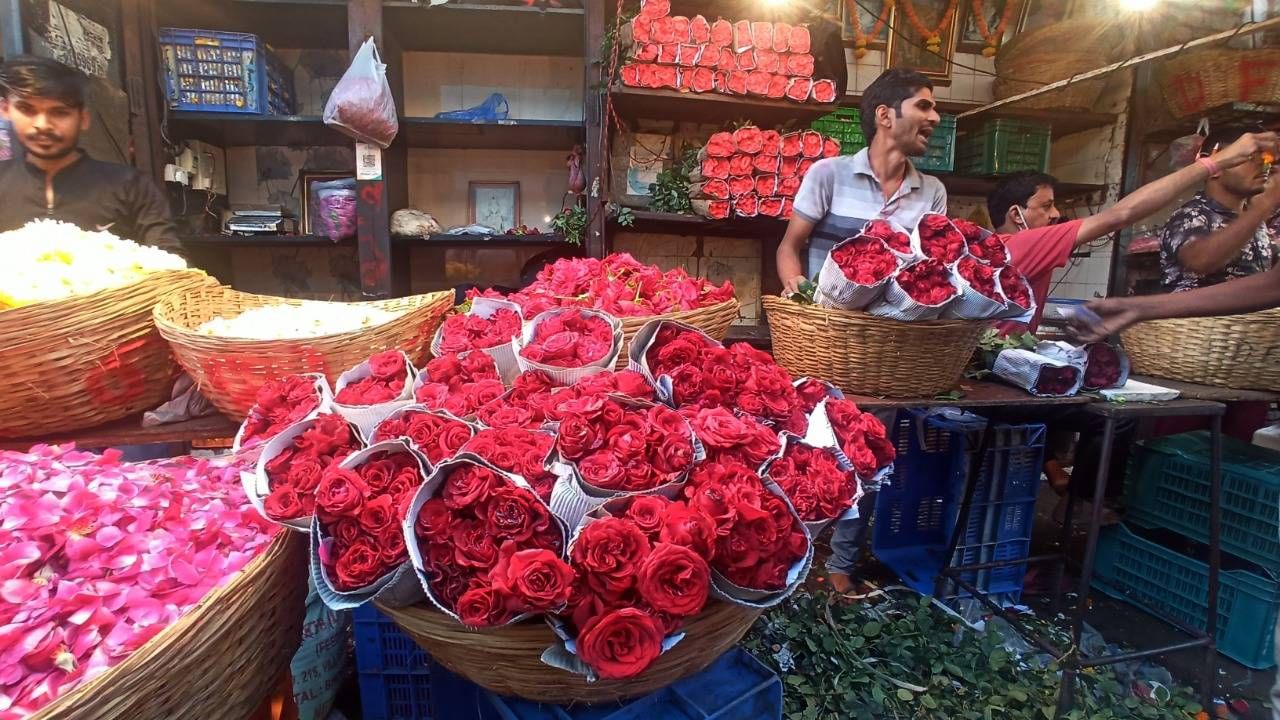 Valentine Day : गुलाबाच्या किंमती सूसाट, प्रेमवीरांना बसणार 'रोझ डे' लाच शॉक!