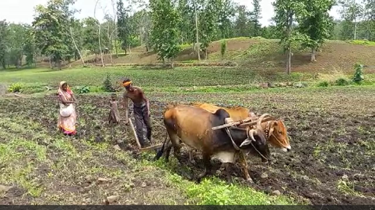 Amravati News : ग्रामीण भागात आतापासूनच पाणी टंचाईचा झळा, वातावरणाचा बदलाचा फटका शेतकऱ्यांनाही