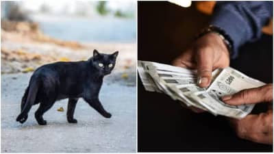 घरात घडणाऱ्या या गोष्टी देतात अशुभ घटनांचे संकेत, दुर्लक्ष करणे पडू शकते महागात!