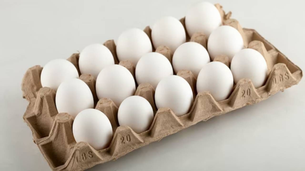  संडे हो या मंडे, रोज खाओ अंडे... हे तर तुम्ही ऐकलं असेलच. अंडी खाणे आपल्या हृदयासाठी फायदेशीर ठरेल का असा प्रश्नही अनेकांच्या मनात निर्माण होतो. न्यूट्रिएंट्स जर्नलमध्ये प्रकाशित झालेल्या एका संशोधनानुसार, अंडी खाणे आपल्या हृदयाच्या आरोग्यासाठी अतिशय फायदेशीर आहे.