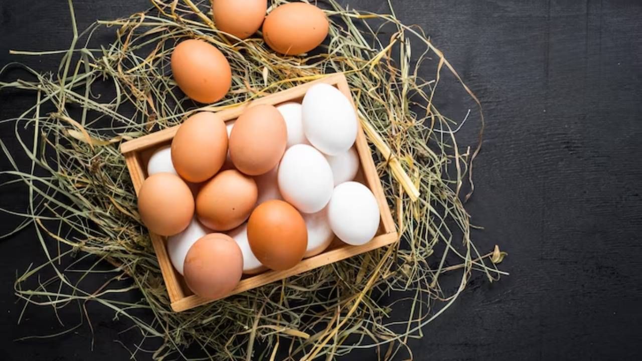 बोस्टन युनिव्हर्सिटीमध्ये झालेल्या एका संशोधनानुसार आठवड्यात 5 किंवा त्यापेक्षा जास्त अंडी खाल्ल्याने तुमचे हृदय निरोगी राहते. यामुळे, तुम्हाला रक्तदाब आणि टाइप 2 मधुमेहाचा धोकाही कमी असतो.
