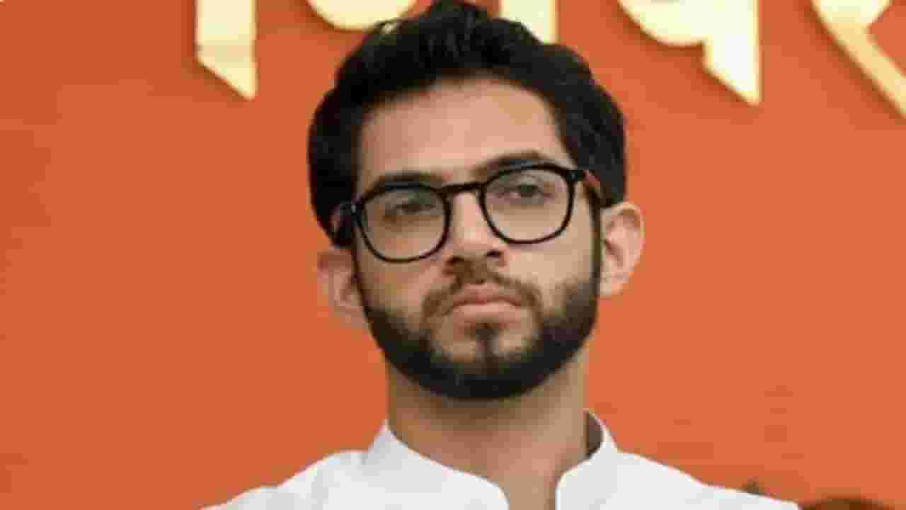 आदित्य ठाकरेंना जमिनीवर आणायचं काम शिंदेंनी केलं; अयोध्या दौऱ्याच्या टीकेवर शिवसेनेच्या नेत्याचं उत्तर
