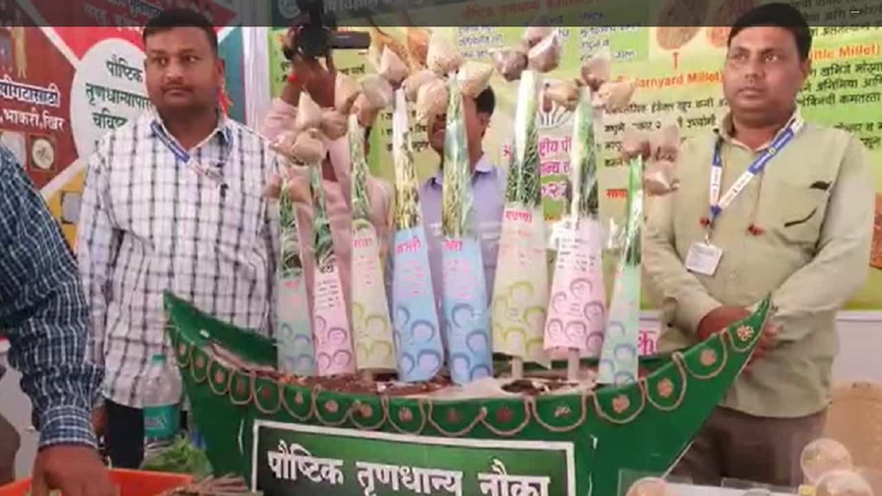 बुलढाणा जिल्हा कृषी विभागाच्या वतीने आजपासून कृषी महोत्सवाला सुरुवात झाली.